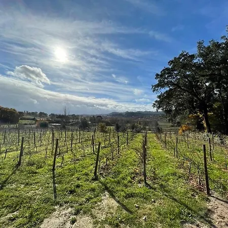 Villa Casa De Pelicas - *