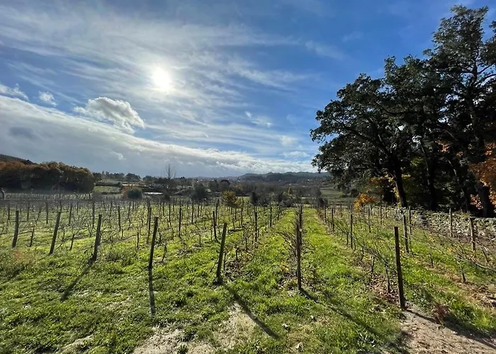 Villa Casa De Pelicas - *